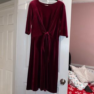 Velvet dress! Worn 1x
